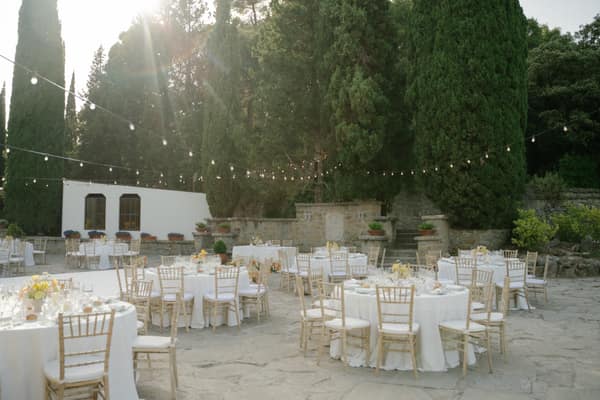 Wedding photo 229