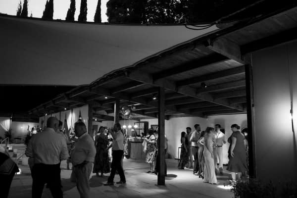 Wedding photo 341